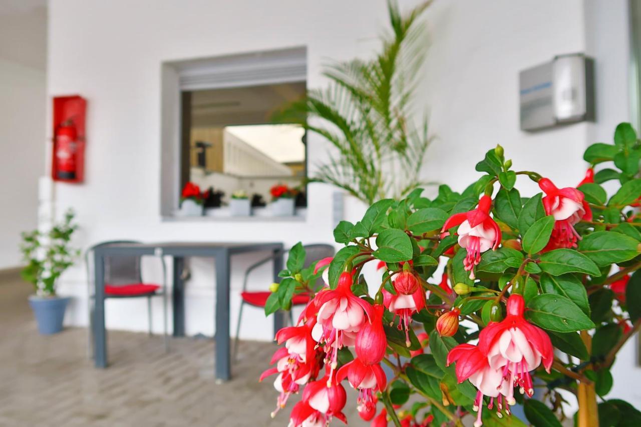 Hotel Adoma Gent Dış mekan fotoğraf